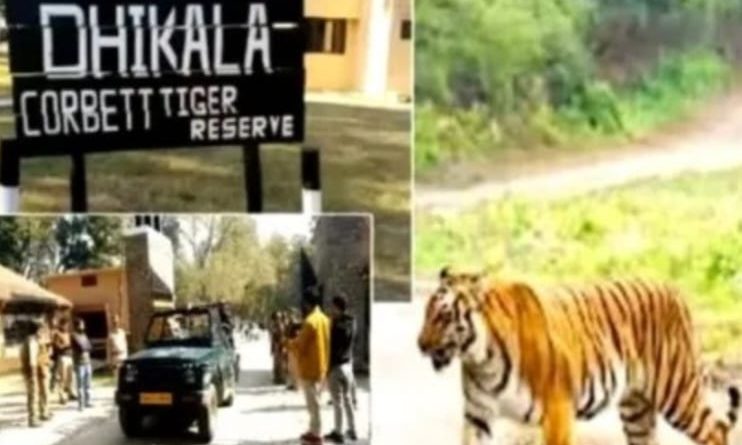 रामनगर जिम कॉर्बेट नेशनल पार्क का ढिकाला जोन पर्यटकों के लिए बन्द